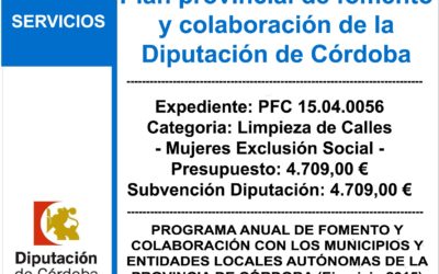 Subvención de Diputación – Plan Provincial de Fomento y Colaboración 2015