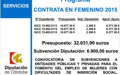 Subvención Diputación – Contrata en Femenino 2015