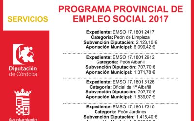 Subvención Diputación –  PROGRAMA PROVINCIAL DE EMPLEO SOCIAL 2017