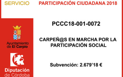 Subvención Diputación – Participación Ciudadana 2018