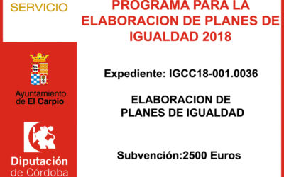 Subvención Diputación – Programa Para la Elaboración de Planes de Igualdad 2018