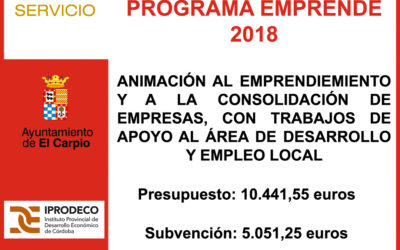 Subvención Diputación – Programa Emprende 2018