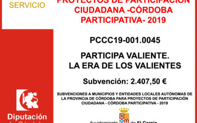 Subvención Diputación – Proyecto Participación Ciudadana 2019