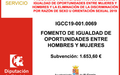 Subvención Diputación – IGUALDAD DE OPORTUNIDADES ENTRE MUJERES Y HOMBRES