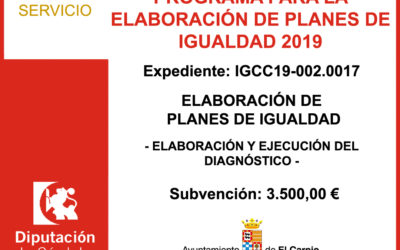 Subvención Diputación – PLAN DE IGUALDAD 2019 (Elaboración y Ejecución del Diagnóstico)