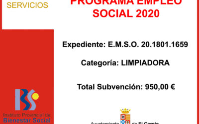 Subvención I.P.B.S. – PROGRAMA EMPLEO SOCIAL 2020