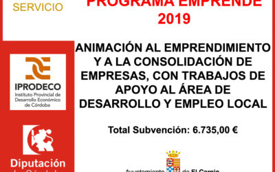Subvención Diputación – PROGRAMA EMPRENDE 2019