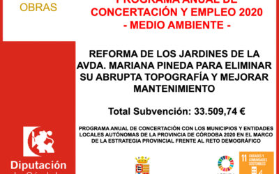 Subvención Diputación – PROGRAMA ANUAL DE CONCERTACIÓN Y EMPLEO 2020