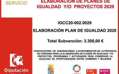 Subvención Diputación – ELABORACIÓN DE PLANES DE IGUALDAD 2020