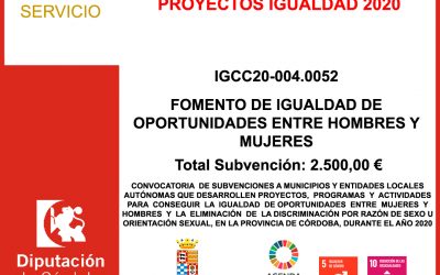 Subvención Diputación – PROYECTOS IGUALDAD 2020