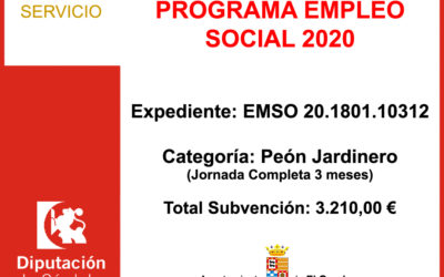 Subvención Diputación – PROGRAMA EMPLEO SOCIAL 2020