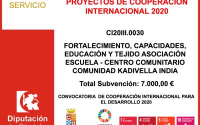 Subvención Diputación – PROYECTOS DE COOPERACIÓN INTERNACIONAL 2020