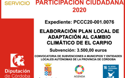 Subvención Diputación – PROYECTO DE PARTICIPACIÓN CIUDADANA 2020