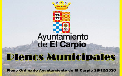 Pleno Ordinario Ayuntamiento de El Carpio 28/12/2020