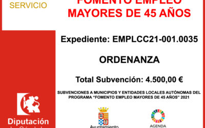 Subvención Diputación – FOMENTO EMPLEO MAYORES 45 AÑOS 2021