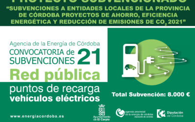 Subvención Diputación – PROYECTOS DE AHORRO, EFICIENCIA ENERGÉTICA Y REDUCCIÓN DE EMISIONES DE CO2 2021