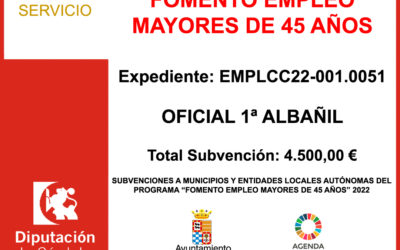 Subvención Diputación – FOMENTO EMPLEO MAYORES 45 AÑOS 2022