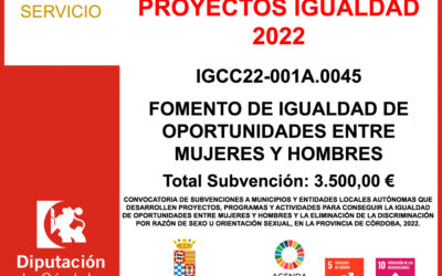 Subvención Diputación – PROYECTOS IGUALDAD 2022