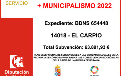 Subvención Diputación – + MUNICIPALISMO