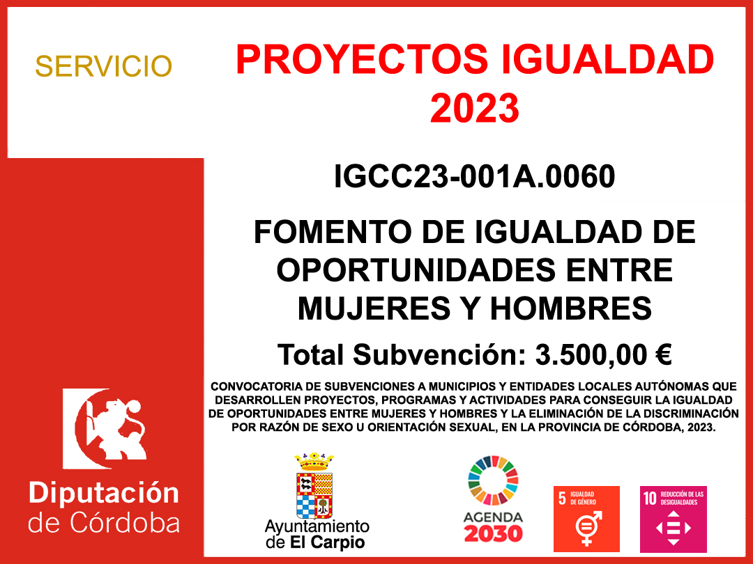 Subvención Diputación – PROYECTOS IGUALDAD 2023