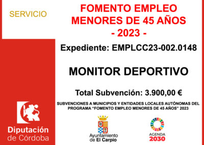 Subvención Diputación – FOMENTO EMPLEO MENORES DE 45 AÑOS – 2023 –