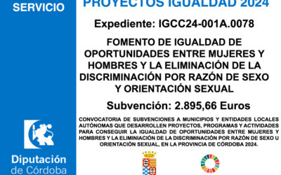 Subvención Diputación – PROYECTOS IGUALDAD 2024